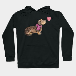 Wirehaired Dachshund watercolour Hoodie